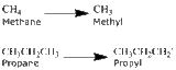 NamingAlkanes-Alkyl.gif