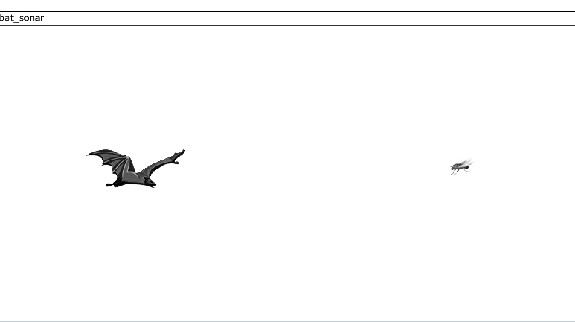 bat